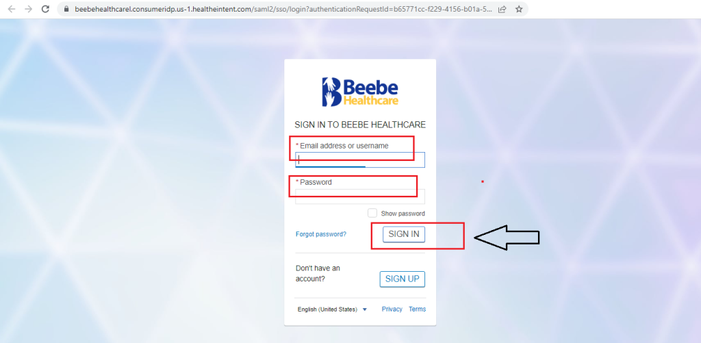 Beebe Patient Portal
