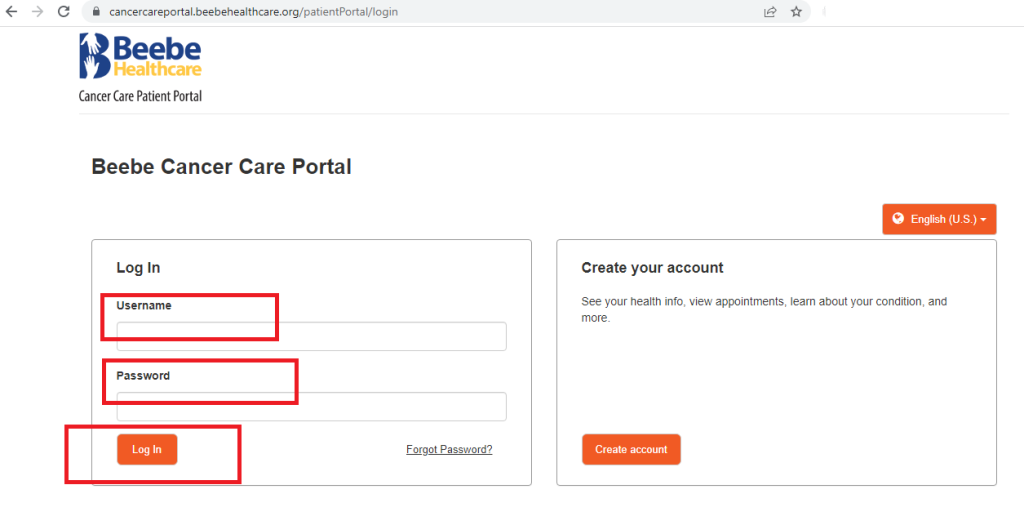 Beebe Patient Portal Login