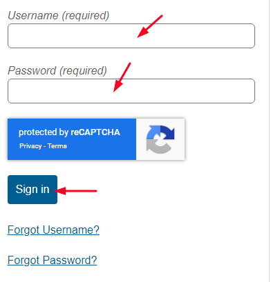 Etch Patient Portal 