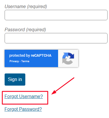 Etch Patient Portal 