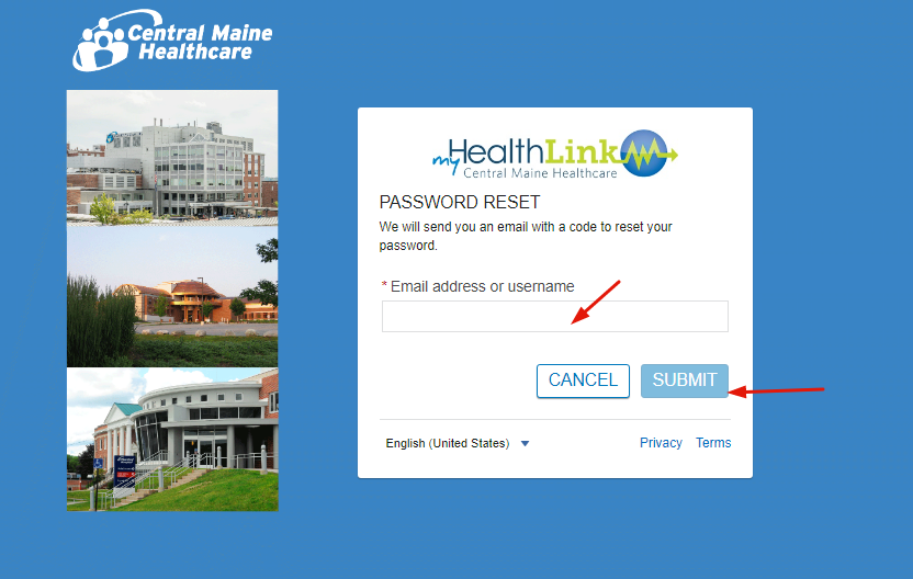 Central Maine Healthcare Patient Portal (2)