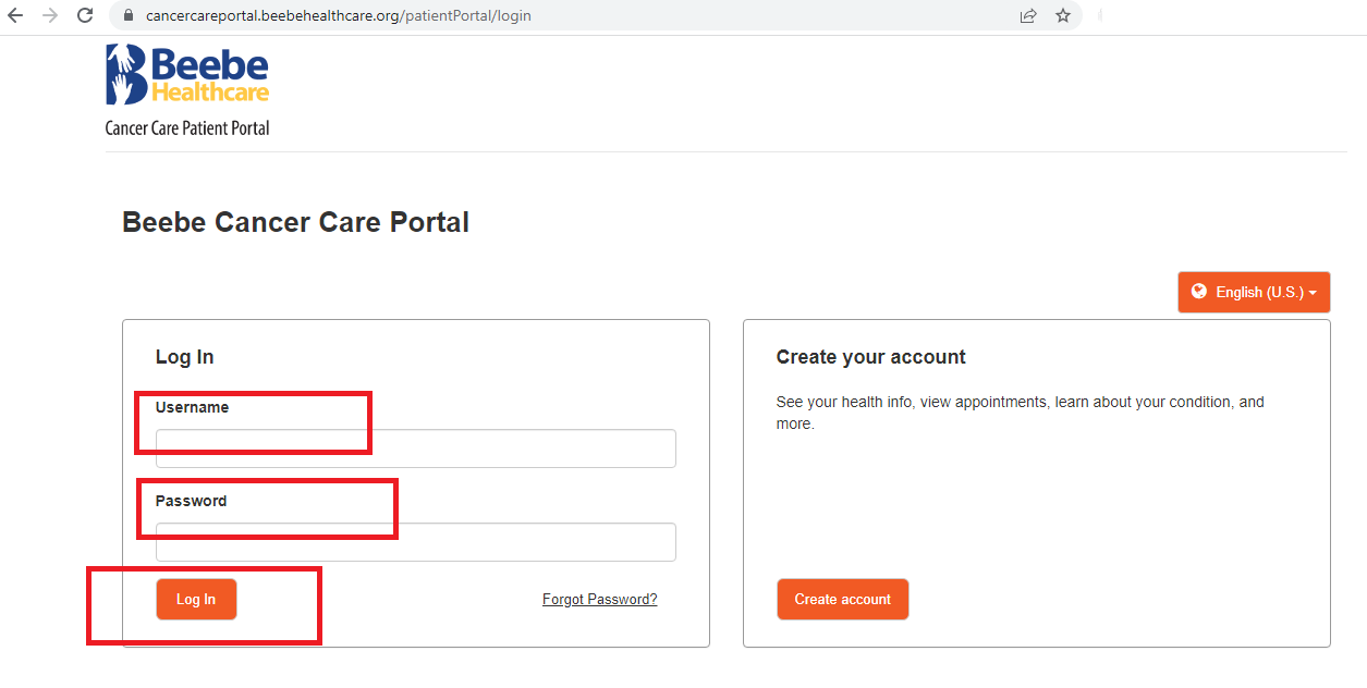 Beebe Patient Portal Login Digital Patient