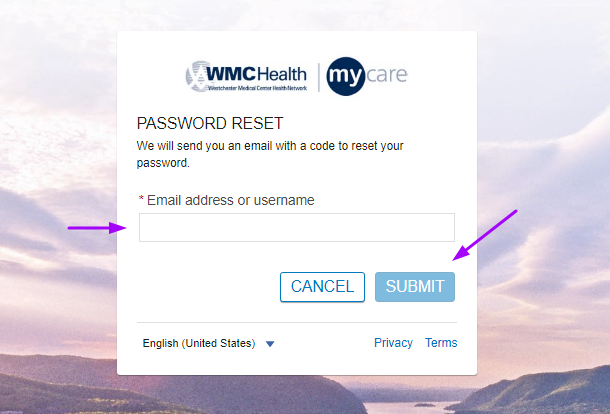 WMC Patient Portal
